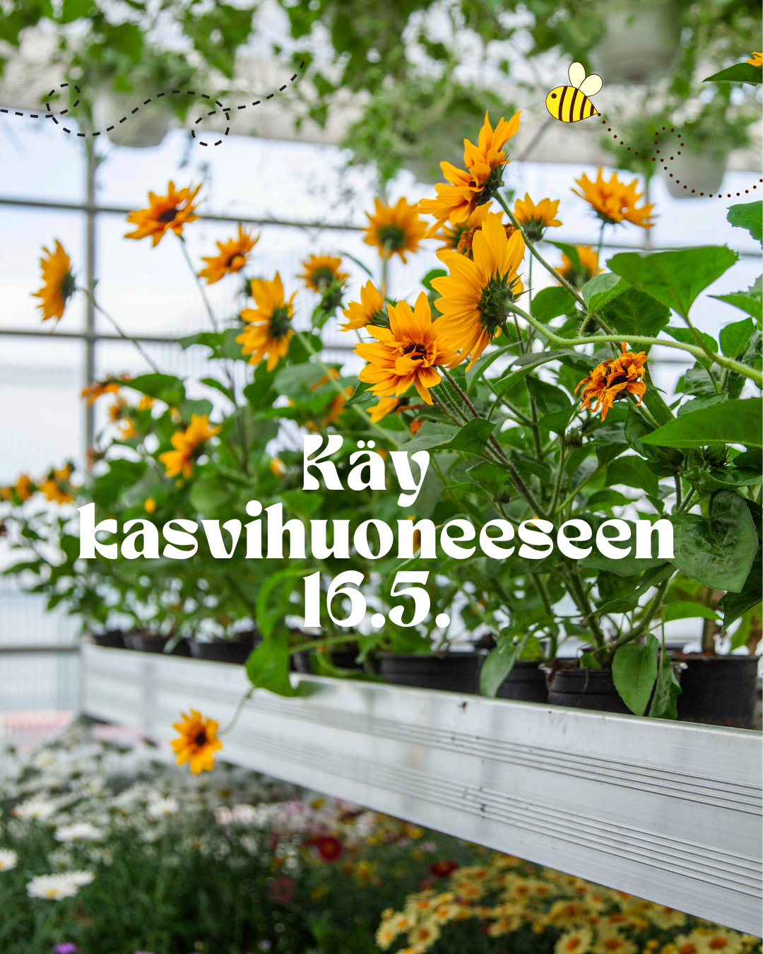 Käy kasvihuoneeseen pe 16.5.