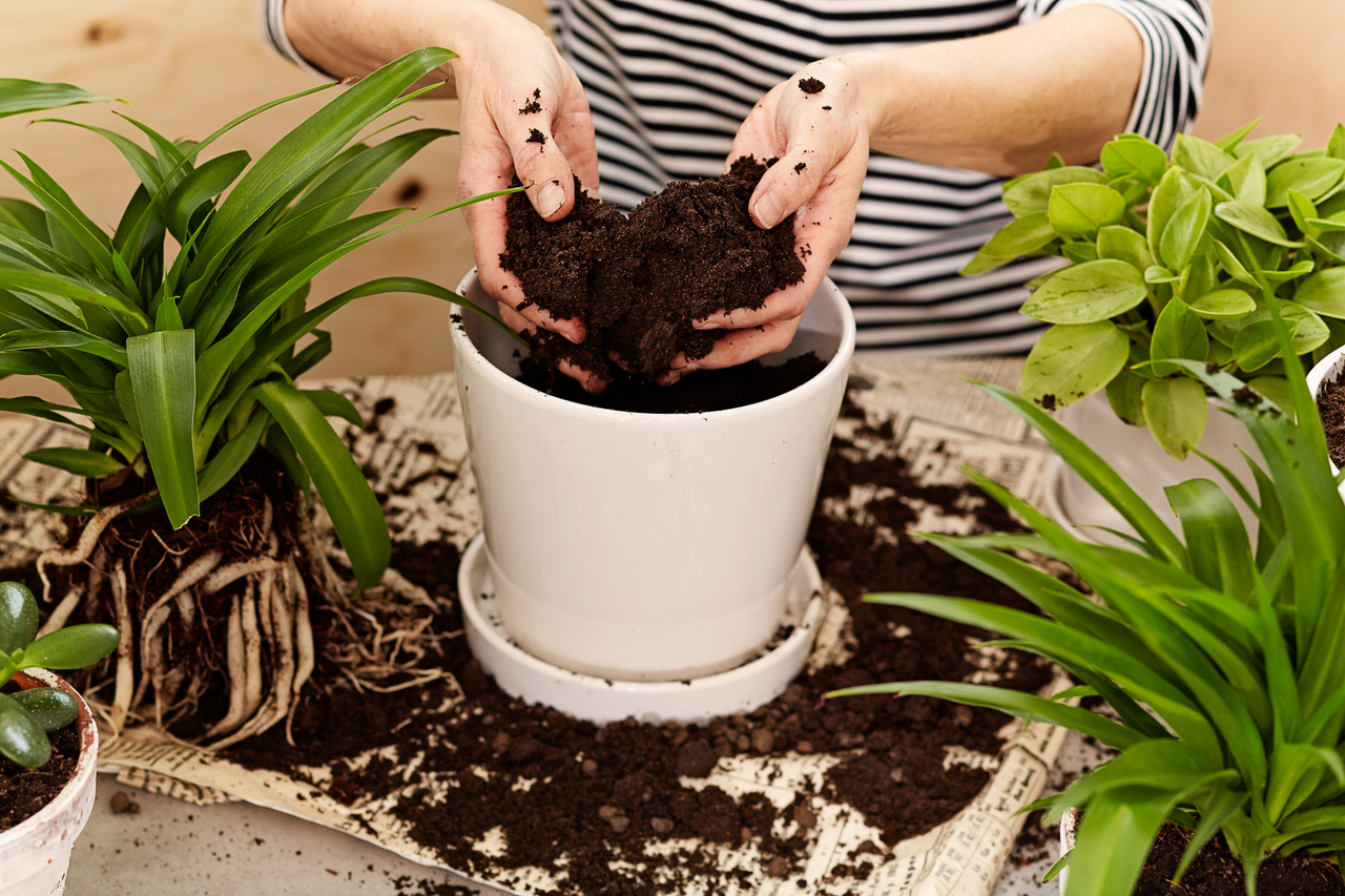 Klubiartikkeli 3-2026