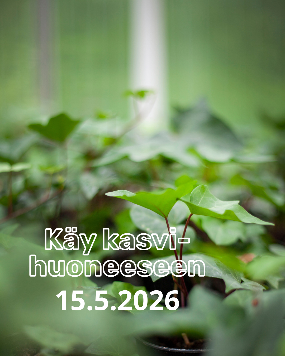 Käy kasvihuoneeseen 15.5.2026